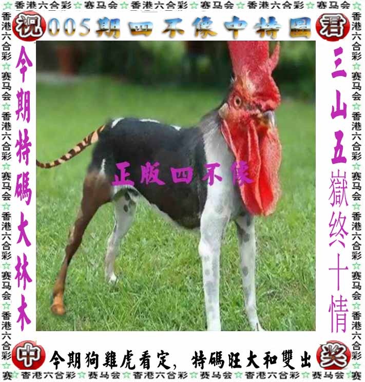 03448.com�������������С���