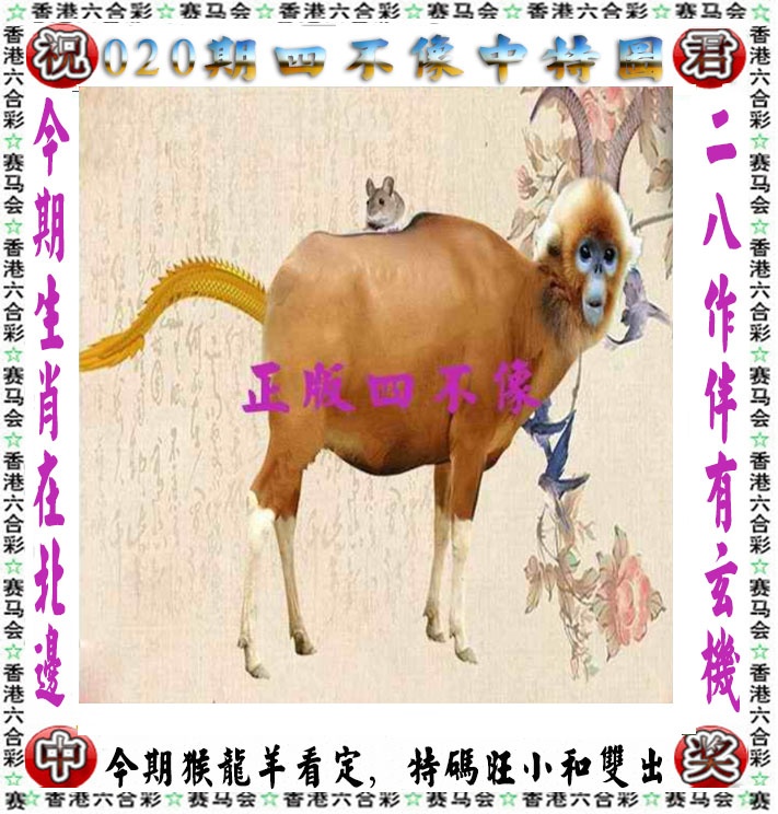 03448.com�������������С���