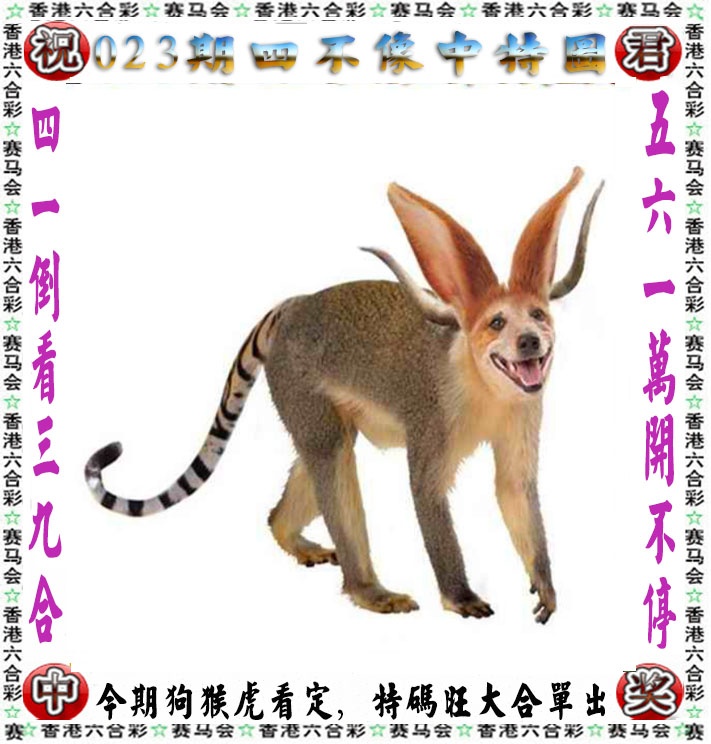 03448.com�������������С���